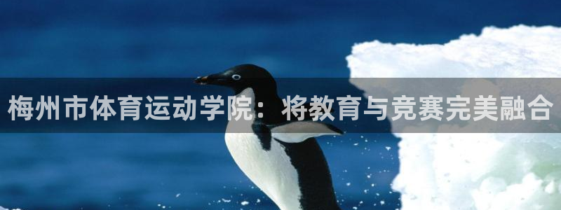 vsport体育官方正版app娱乐代理怎么样:梅州市体育运动