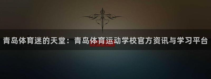 德国vsport体育官方正版app集团:青岛体育迷的天堂:青