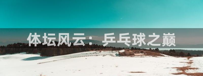 注册vsport体育官方正版app:体坛风云:乒乓球之巅