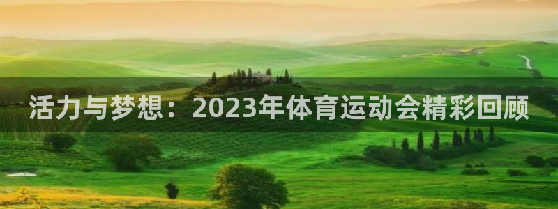 vsport体育官方正版app娱乐首页网站大全:活力与梦想: